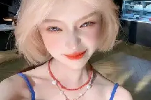 迪高电子科技(肇庆)有限公司 迪高电子科技(肇庆)有限公司